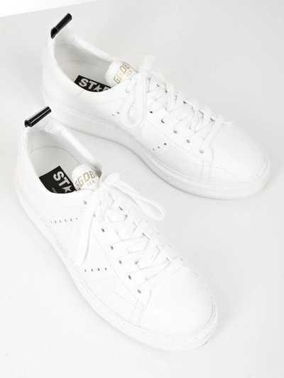 Shop Golden Goose Scarpa Sneakers Starter In White