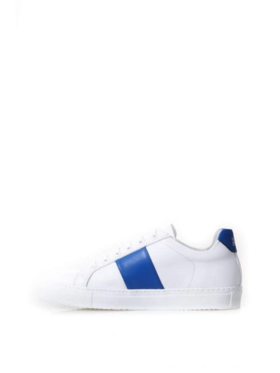 Shop National Standard White & Blu Leather Sneakers In White/blu