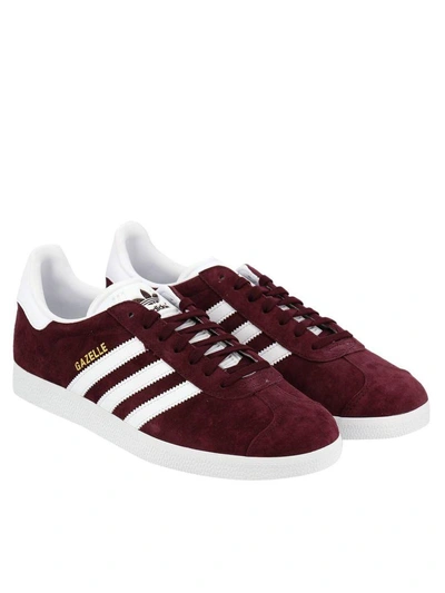 Shop Adidas Originals Sneakers  Gazelle Classic Mens Sneakers In Smooth And Suede Leather In Burgundy