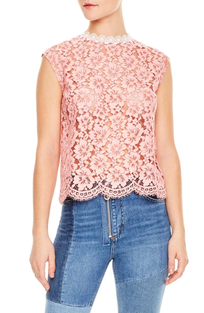 Shop Sandro Rose Floral Lace Sleeveless Blouse In Pink