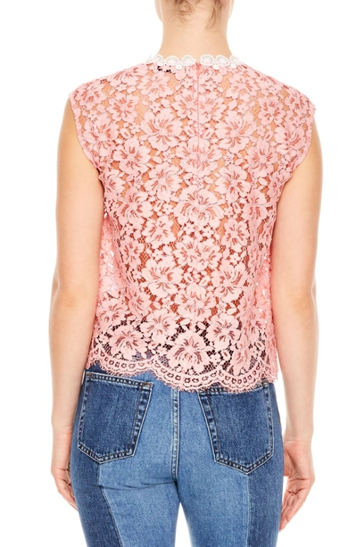 Shop Sandro Rose Floral Lace Sleeveless Blouse In Pink