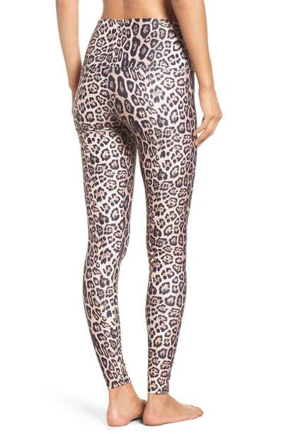 Shop Onzie High Waist Leggings In Leopard