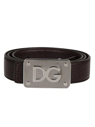 Shop Dolce & Gabbana Dg Logo Buckle Belt In Ebano/bordeaux