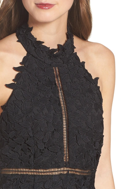 Shop Bardot Gemma Halter Lace Sheath Dress In Black