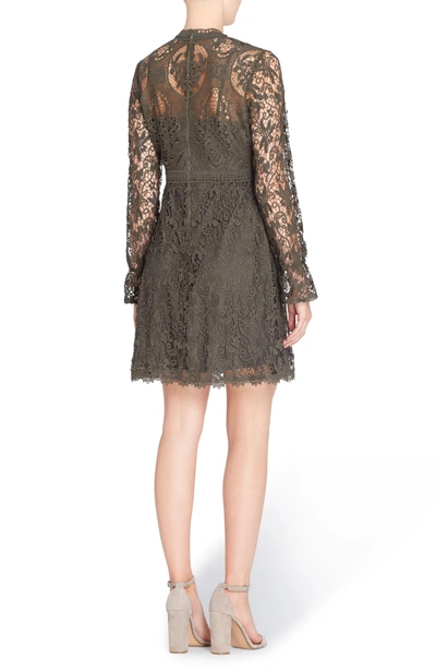 Shop Catherine Catherine Malandrino Miia Lace Fit & Flare Dress In Forest Night