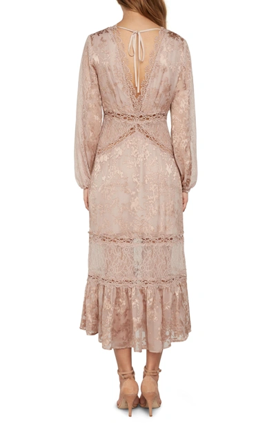 Shop Willow & Clay Lace Midi Dress In Ballet