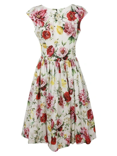 Shop Dolce & Gabbana Floral Dress