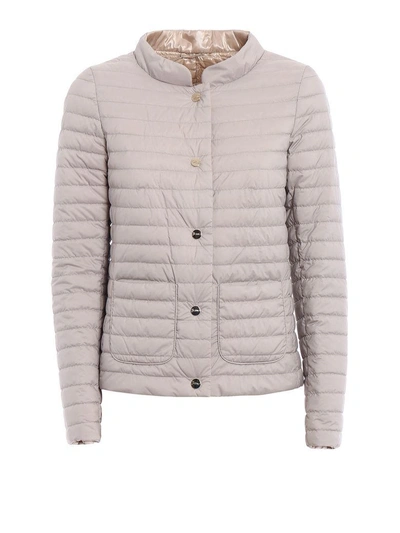 Herno Snap Button Down Jacket In Grey