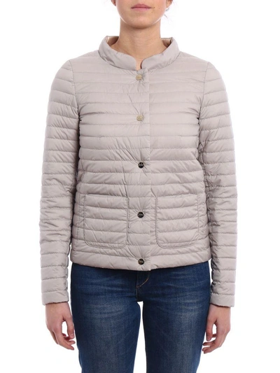 Herno Snap Button Down Jacket In Grey