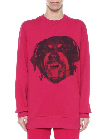 Shop Givenchy Rottweiler Sweatshirt In Fuxia