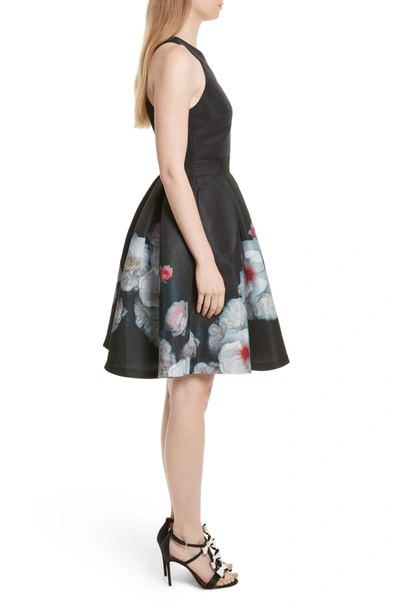 Shop Ted Baker Jelina Chelsea Floral Fit & Flare Dress In Black