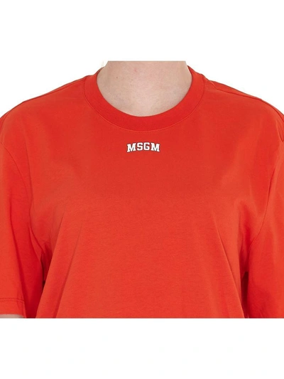 Shop Msgm Tshirt In Red