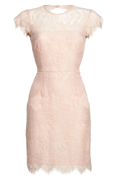 Shop Bb Dakota Jayce Lace Sheath Cocktail Dress In Rose Smoke