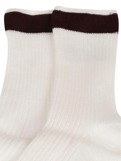 Shop Valentino Knitted Socks In Bordo