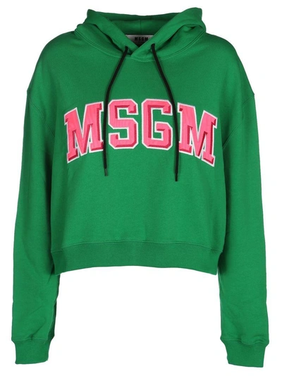 Shop Msgm Cropped Fleece Hooded In Green