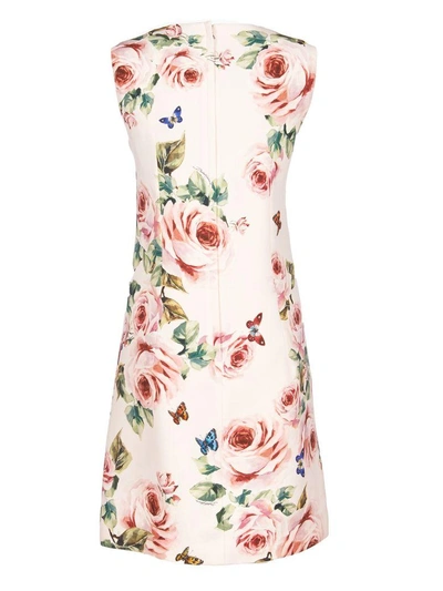 Shop Dolce & Gabbana Rose Print Dress In Rosa