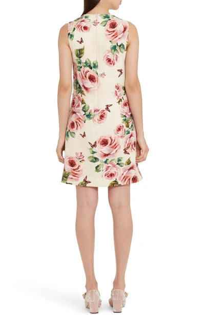 Shop Dolce & Gabbana Rose Print Wool & Silk Shift Dress In Pink