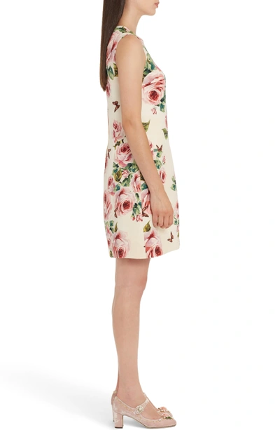Shop Dolce & Gabbana Rose Print Wool & Silk Shift Dress In Pink