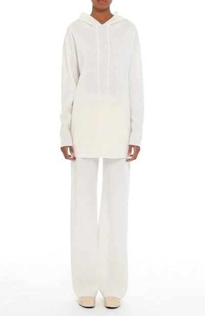 Shop Max Mara Brando Wool Wide Leg Pants In Silk