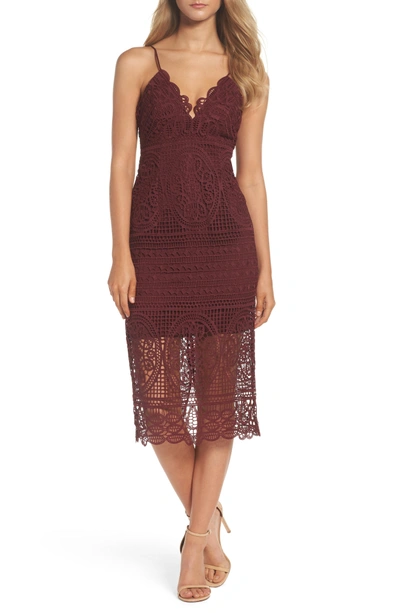 Shop Bardot Versailles Lace Pencil Dress In Burgundy