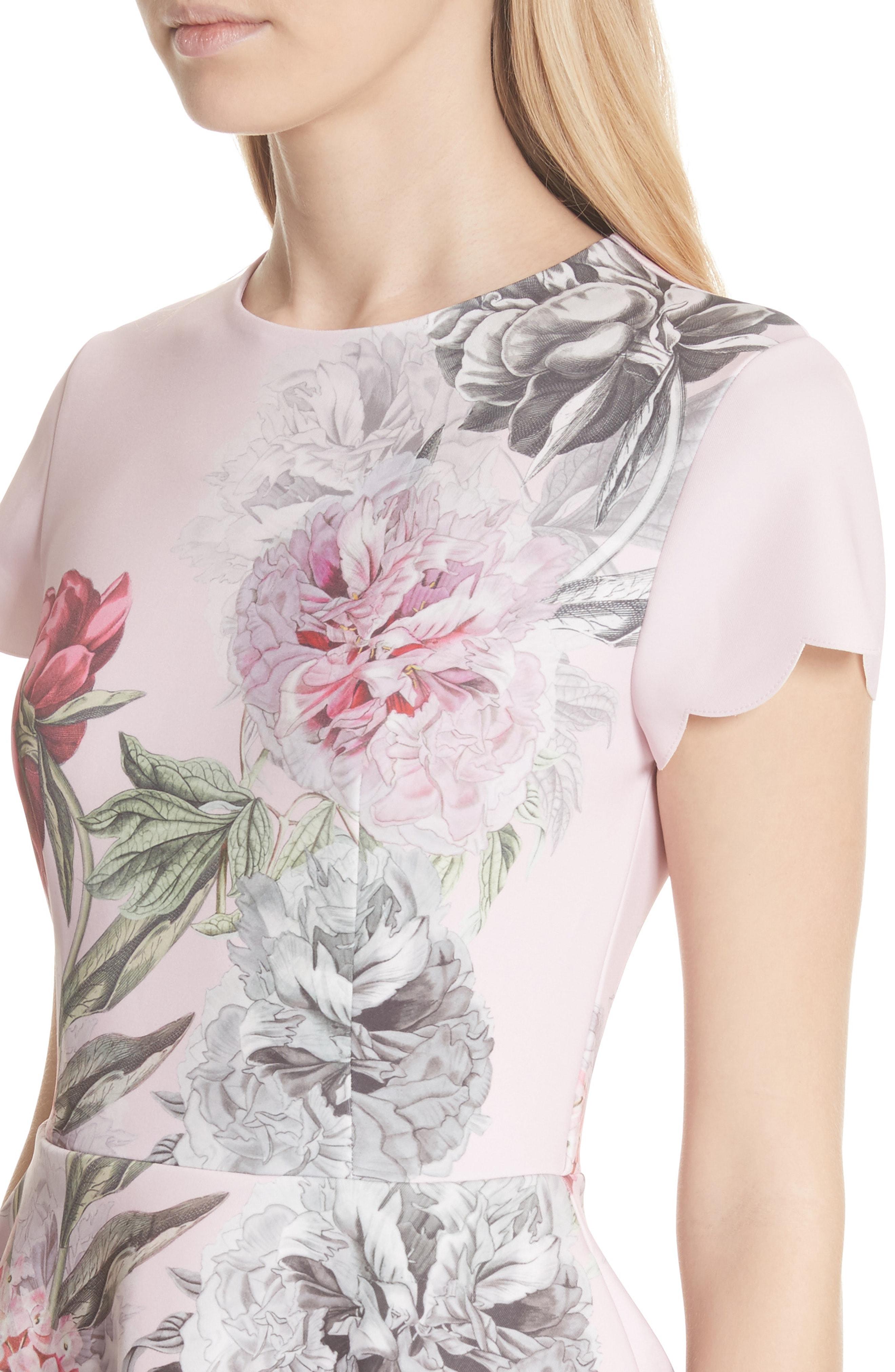 ted baker haiilie dress