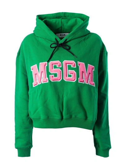 Shop Msgm Logo Hoodie