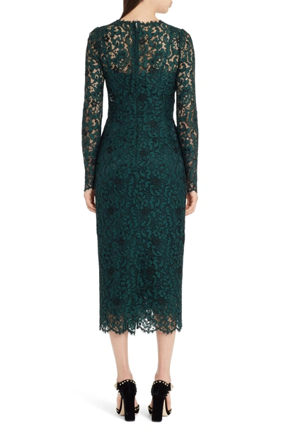 Shop Dolce & Gabbana Lace Pencil Dress In Dark Green