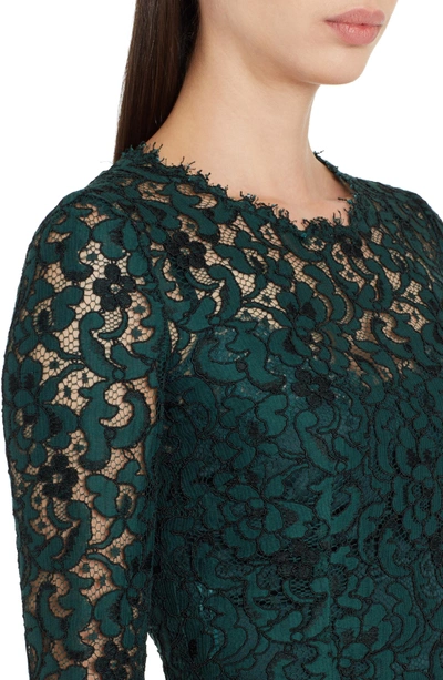 Shop Dolce & Gabbana Lace Pencil Dress In Dark Green