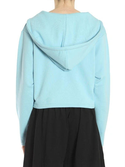 Shop Moschino Hooded Sweatshirt In Azzurro