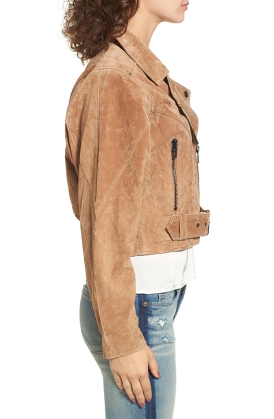 Shop Blanknyc Dolman Sleeve Sueded Moto Jacket In Desert Sand