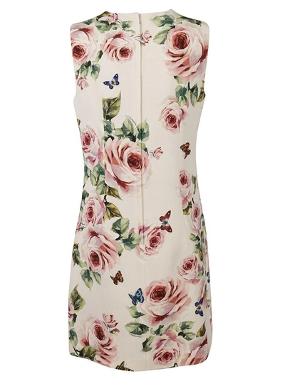 Shop Dolce & Gabbana Rose Dress