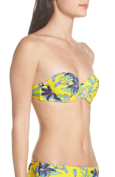 Shop Diane Von Furstenberg Strapless Bikini Top In Argos Small Allover Pineapple