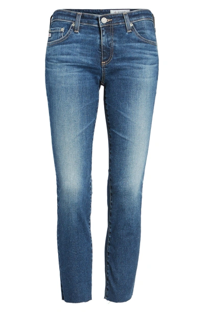 Shop Ag The Stilt Crop Skinny Jeans In 5 Years Indigo Avenue