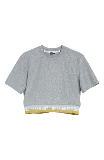 Shop Opening Ceremony Elastic Logo Crop Tee In Heather Grey Multi