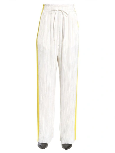 Shop Haider Ackermann Pleated "canis" Trousers In Multicolor