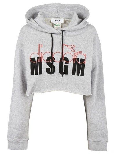 Shop Msgm Logo Print Cropped Hoodie In Grigia