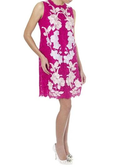 Shop Dolce & Gabbana Fuxia Lace Dress With Floral Applications