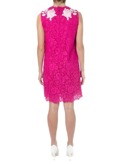 Shop Dolce & Gabbana Fuxia Lace Dress With Floral Applications
