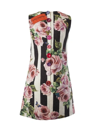 Shop Dolce & Gabbana Striped Rose Printed Dress In White-black