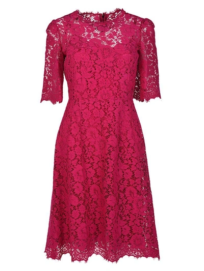 Shop Dolce & Gabbana Floral Lace Dress In Fuxia