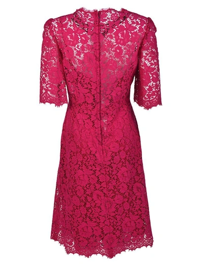 Shop Dolce & Gabbana Floral Lace Dress In Fuxia