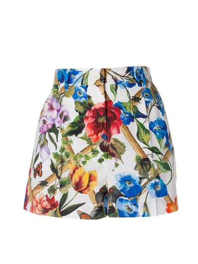 Shop Dolce & Gabbana Classic Floral Shorts In Fiori