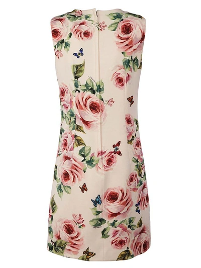 Shop Dolce & Gabbana Printed Shift Dress In Pink