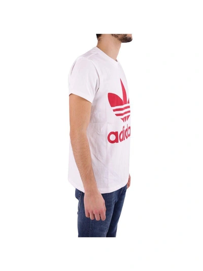 Shop Adidas Originals Cotton T - Shirt In White