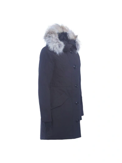 Shop Canada Goose Rossclair Black Parka With Hood In Nero