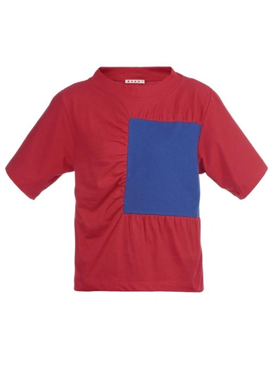 Shop Marni Cotton T-shirt In Lacquer + Bluette