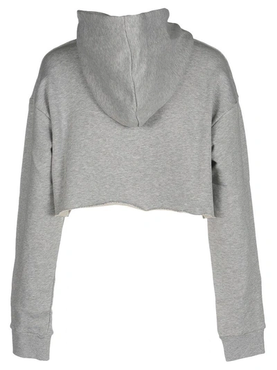 Shop Msgm Diadora Cropped Fleece In Grey