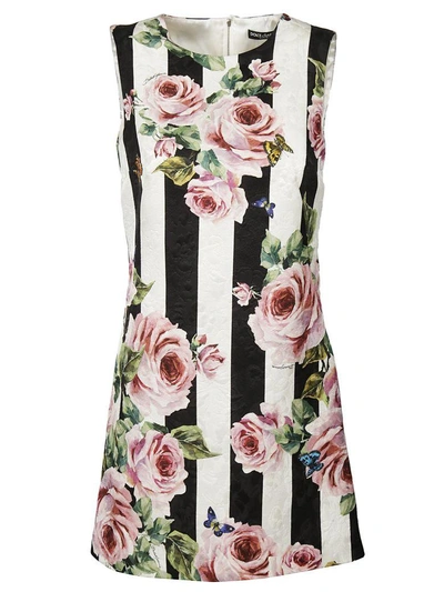 Shop Dolce & Gabbana Stripe Rose Printed Dress