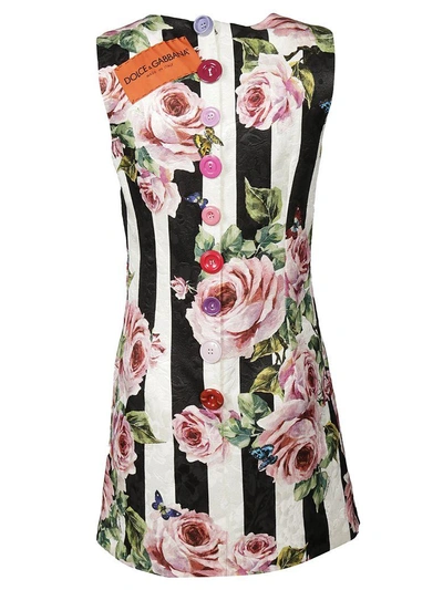 Shop Dolce & Gabbana Stripe Rose Printed Dress