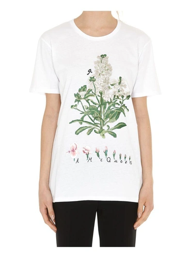 Shop Alexander Mcqueen Botanical Gardel Tshirt In White